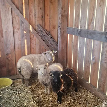 Des Petits Troupeaux Σπίτι διακοπών *