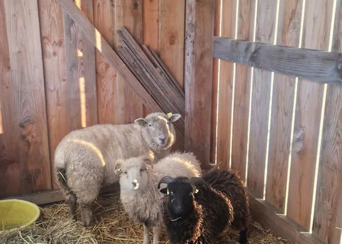 Des Petits Troupeaux Ferienhaus *